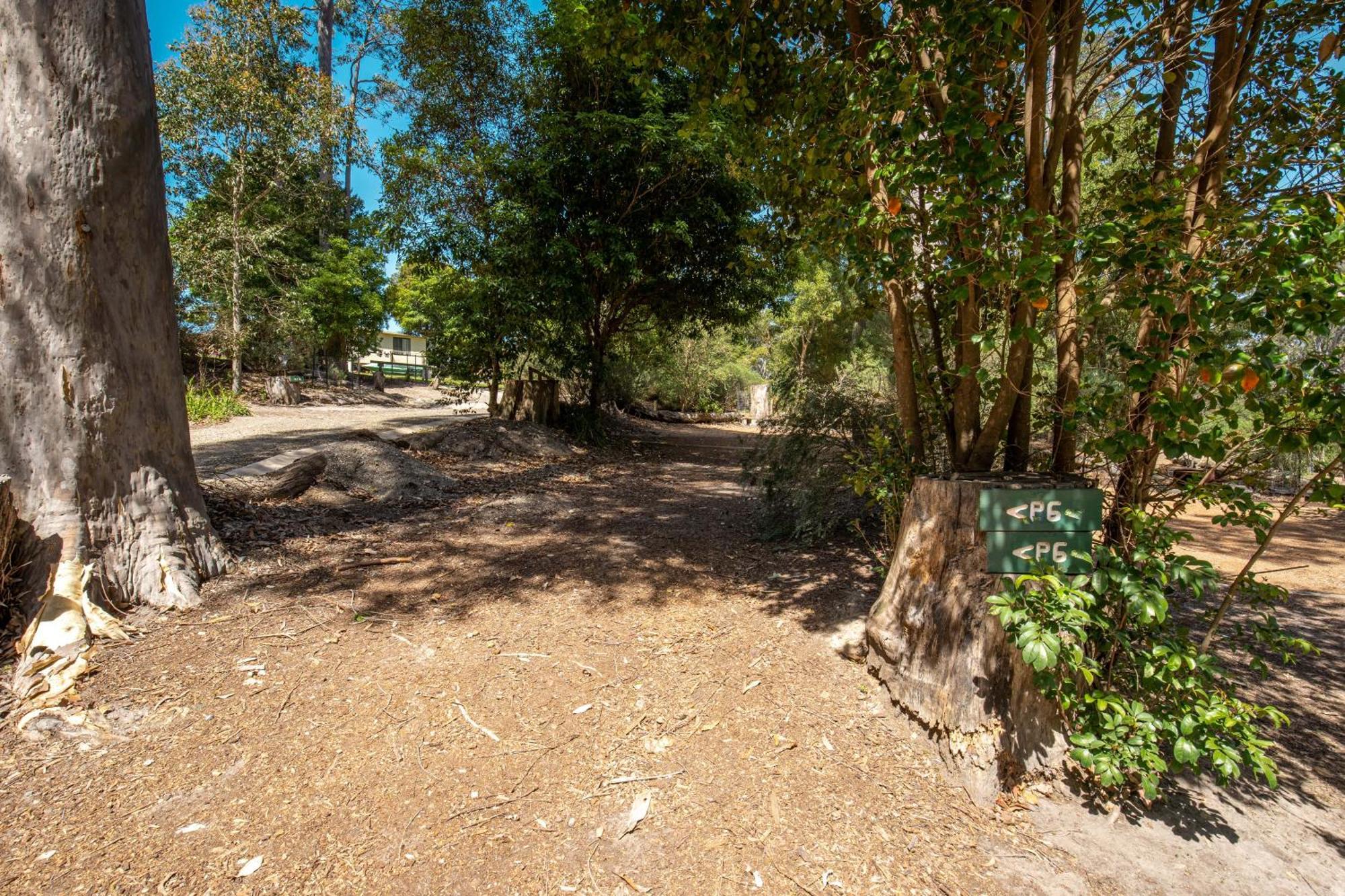Durras Lake North Holiday Park المظهر الخارجي الصورة